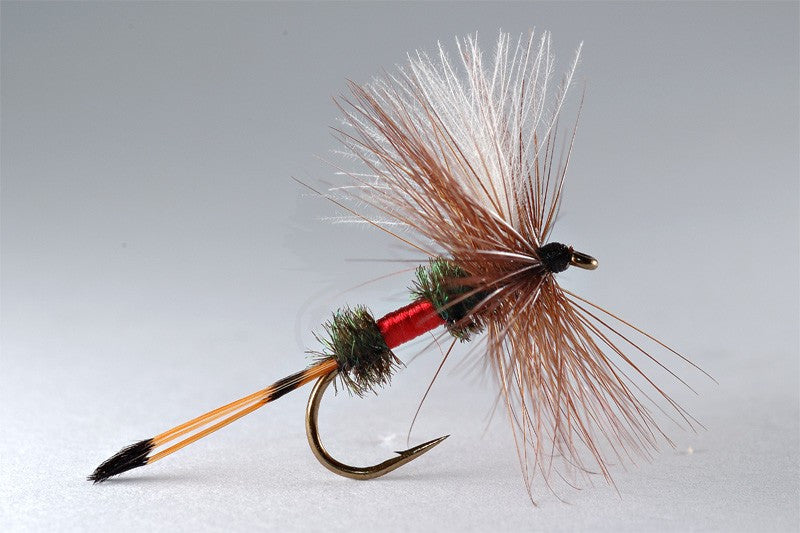 FLY HOOKS LC [ROYAL COACHMAN]